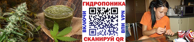 наркошоп ОМГ ОМГ зеркало Печенье с ТГК конопля Большой Камень