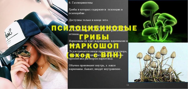 соль ск Алексин