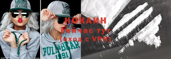 соль ск Алексин